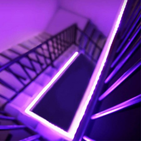 Yeeligth Ligthstrip Plus - Striscia LED Smart Color 2m. (Estensibile) Assistente Google compatibile e Alexa