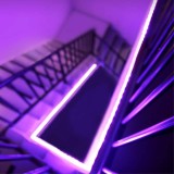 Yeeligth Lichtstreifen Plus - Smart Color LED Strip 2m. (Erweiterbar) Kompatibel mit Google Assistant und Alexa