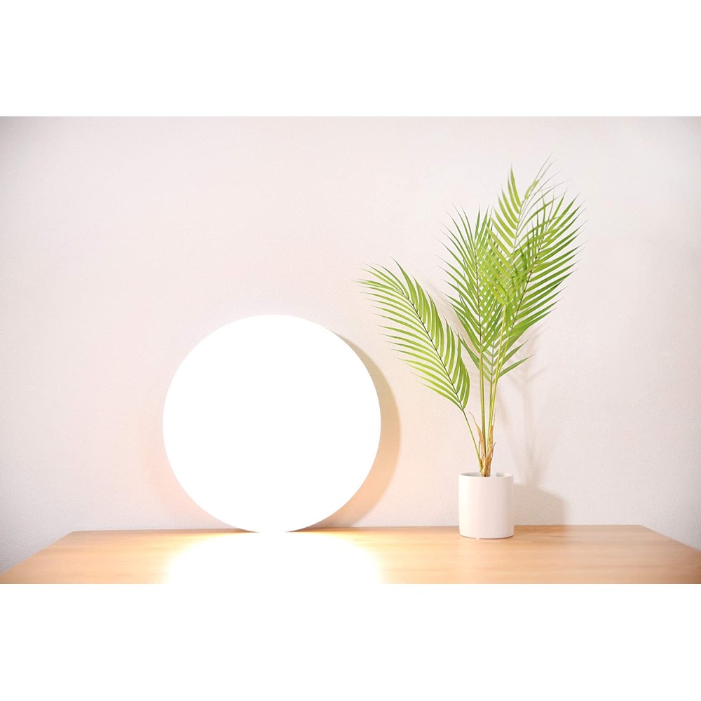 Xiaomi Mi Smart LED Ceiling Light 450mm